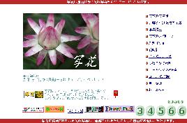 サムネイル(おいきむさん：34566)